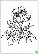Flowers-coloringPage-014