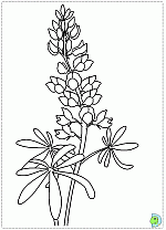 Flowers-coloringPage-080
